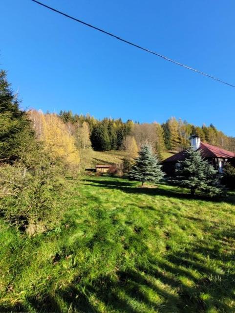Villa Patysiowka Stronie Śląskie Exterior foto
